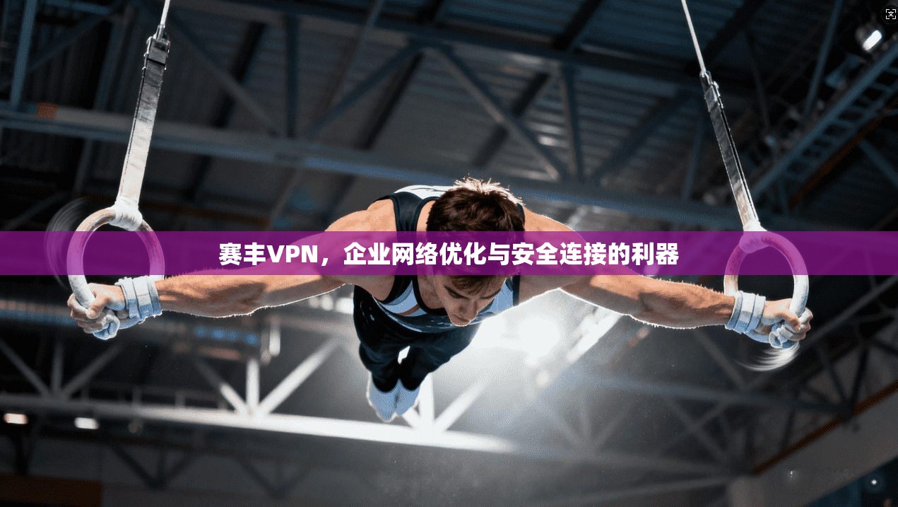 赛丰VPN,企业网络优化与安全连接的利器 赛丰VPN,企业网络优化与安全连接的利器