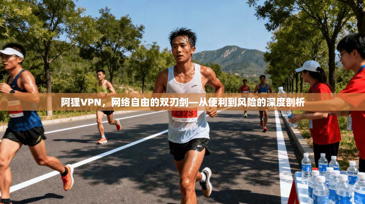 阿狸VPN,网络自由的双刃剑—从便利到风险的深度剖析