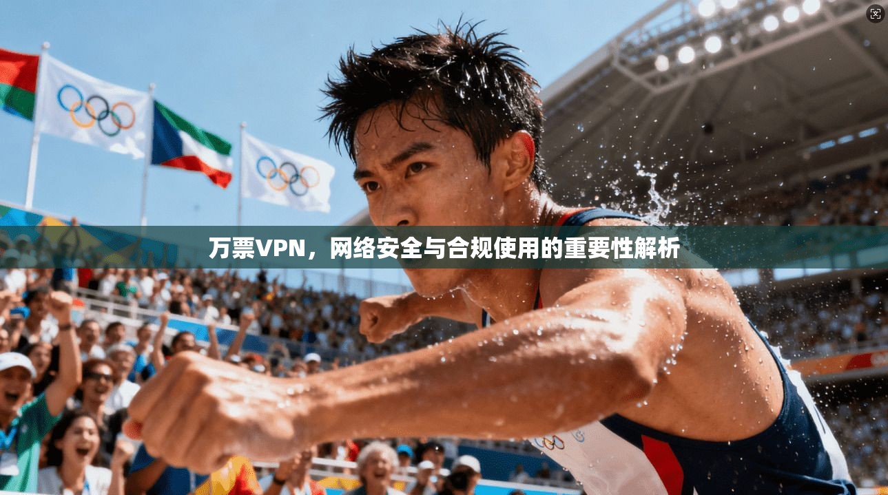 万票VPN，网络安全与合规使用的重要性解析