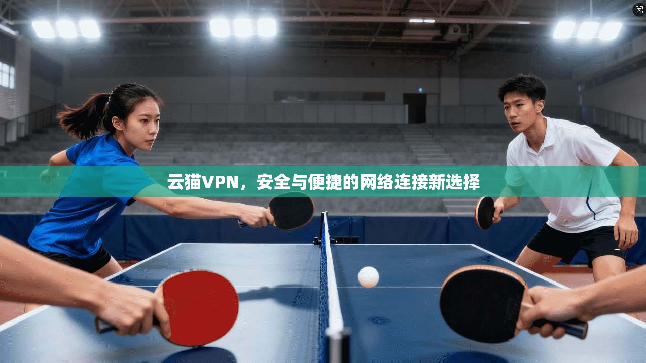 云猫VPN，安全与便捷的网络连接新选择