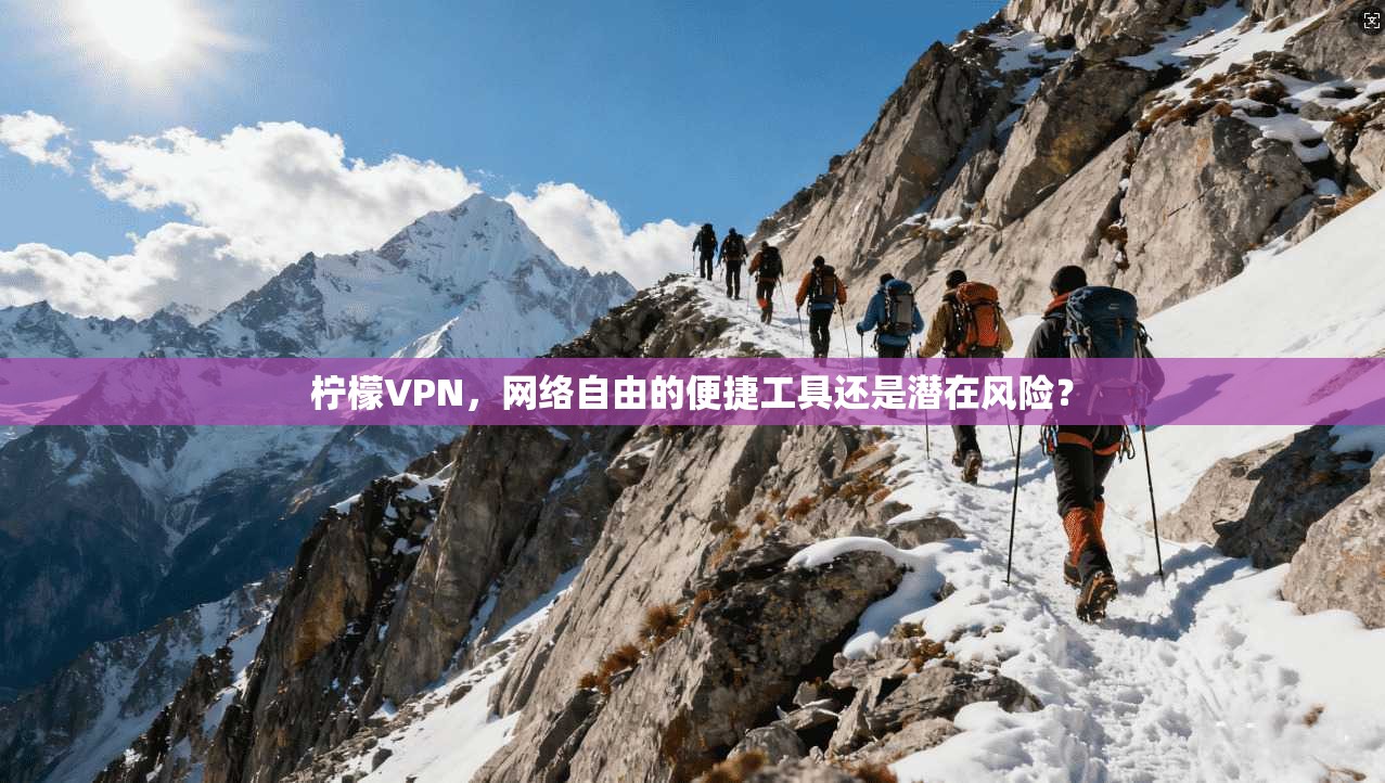 柠檬VPN，网络自由的便捷工具还是潜在风险？