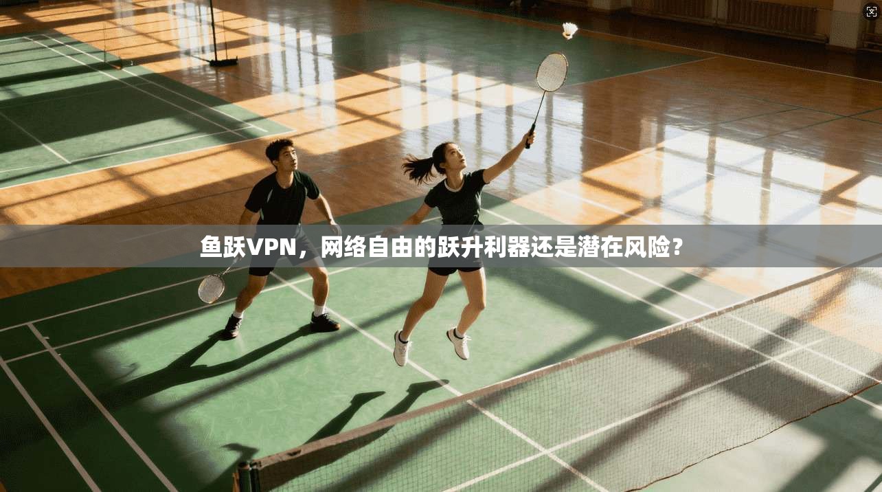 鱼跃VPN，网络自由的跃升利器还是潜在风险？