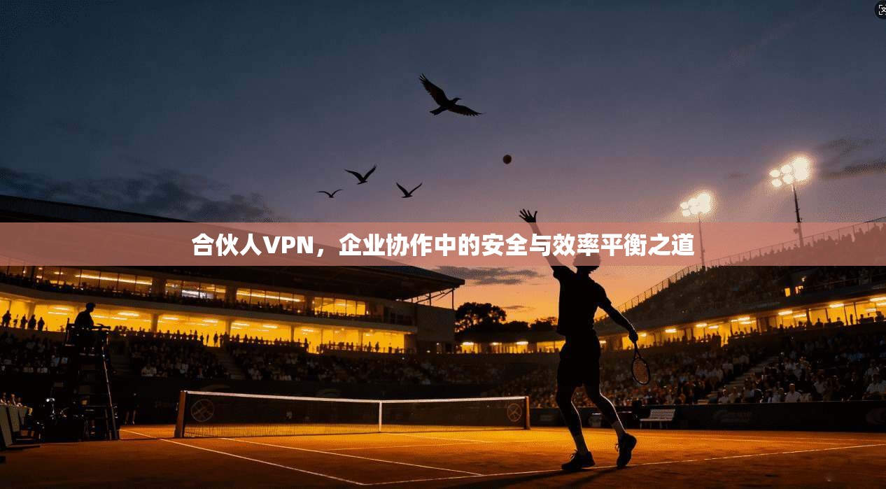 合伙人VPN，企业协作中的安全与效率平衡之道