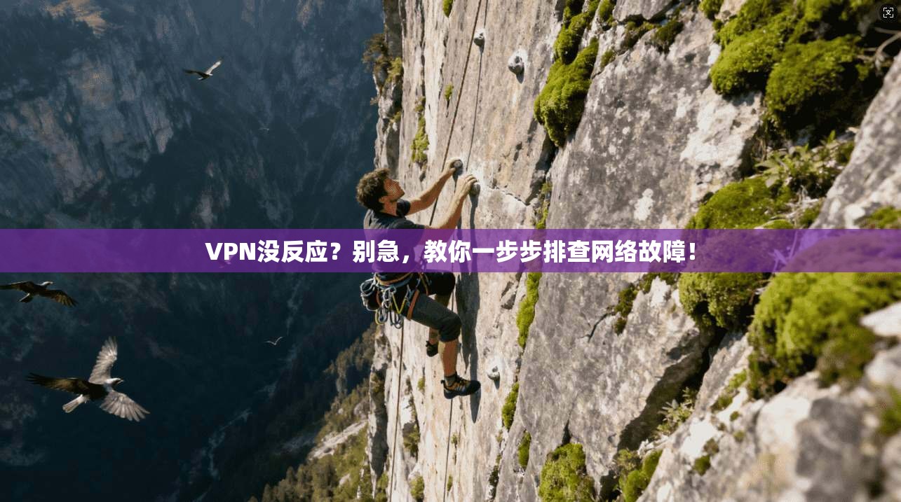 VPN没反应？别急，教你一步步排查网络故障！