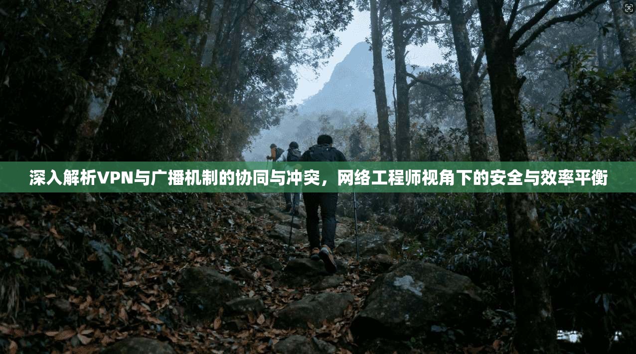 深入解析VPN与广播机制的协同与冲突，网络工程师视角下的安全与效率平衡
