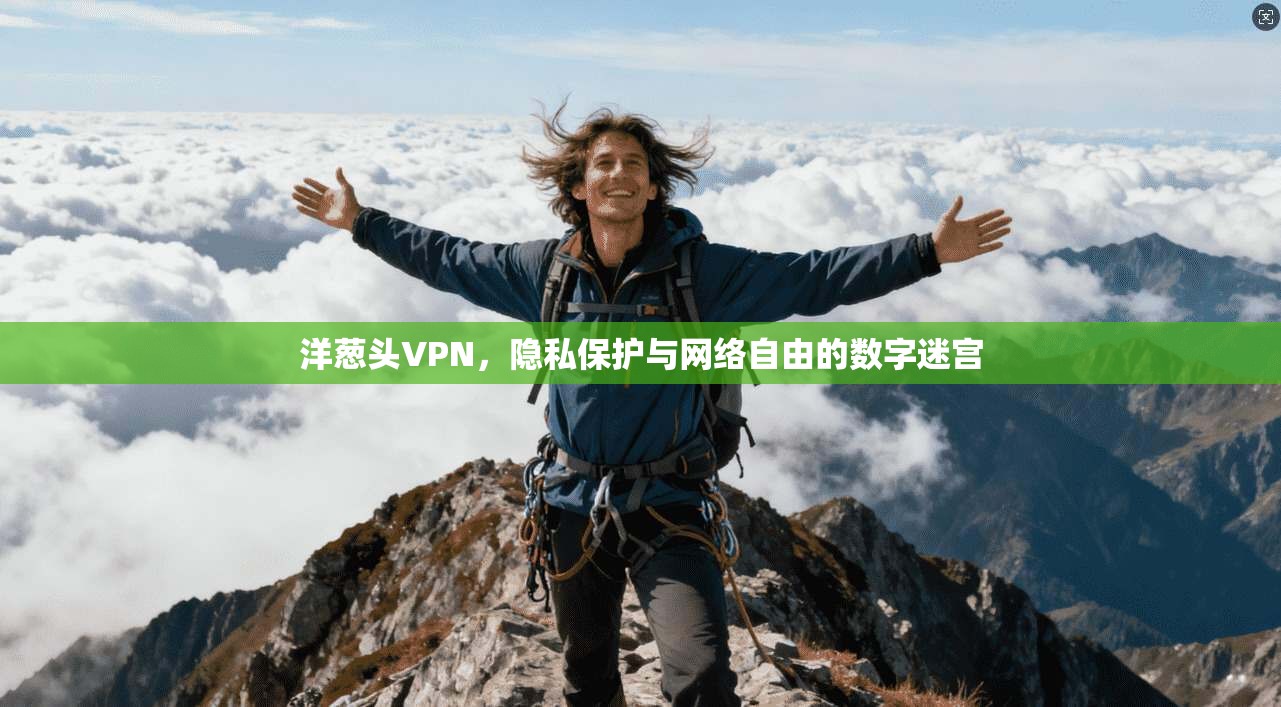 洋葱头VPN，隐私保护与网络自由的数字迷宫