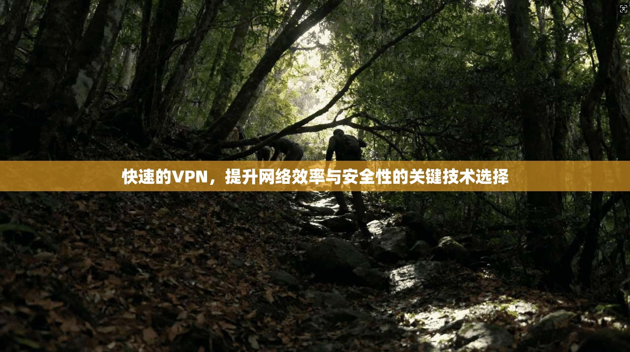 快速的VPN，提升网络效率与安全性的关键技术选择
