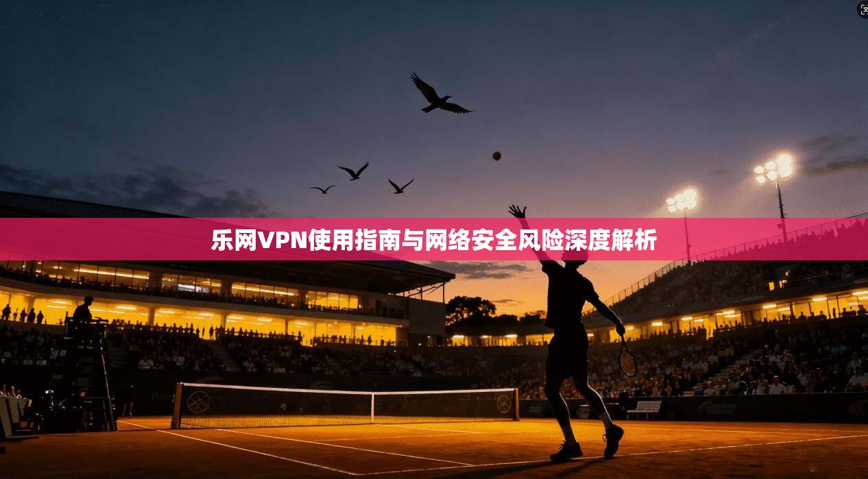 乐网VPN使用指南与网络安全风险深度解析