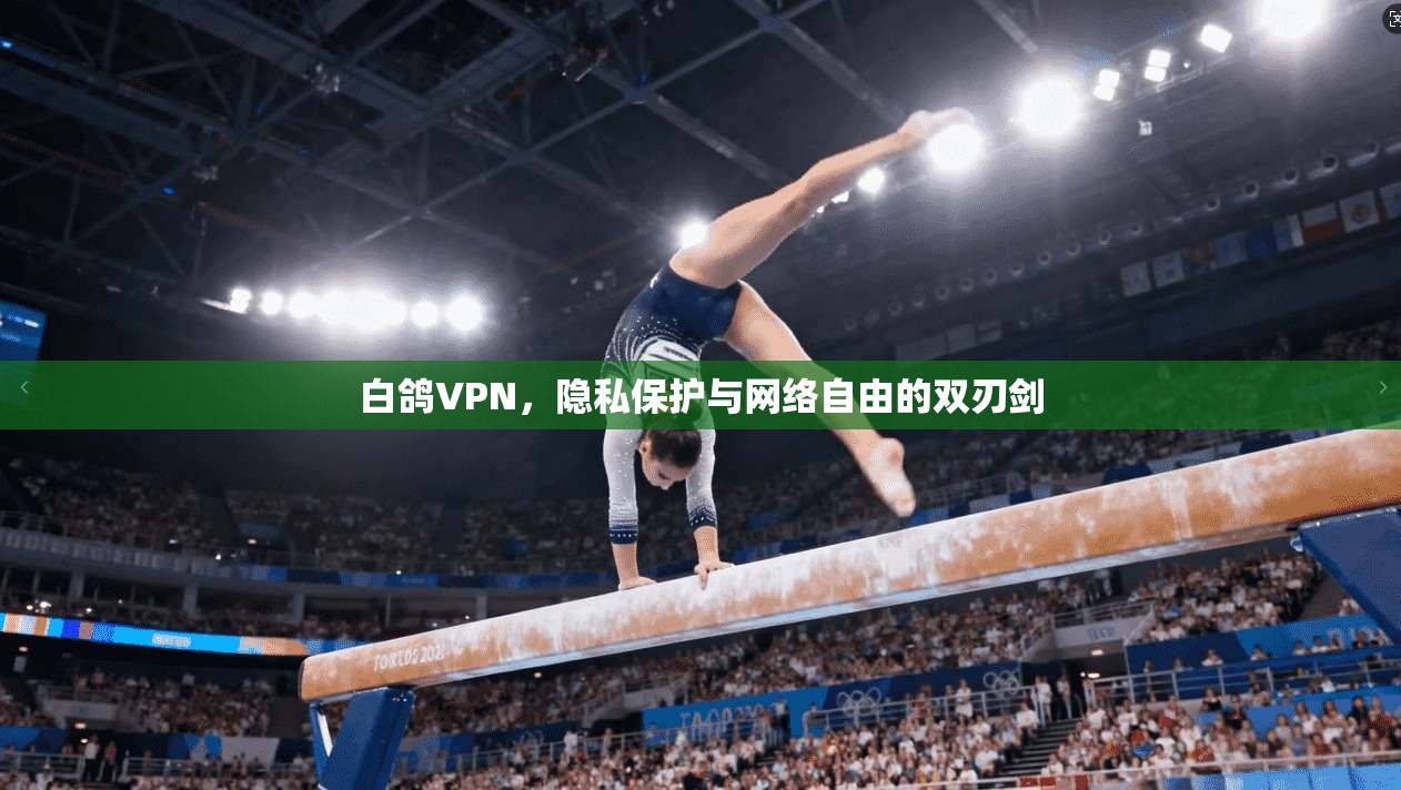 白鸽VPN，隐私保护与网络自由的双刃剑