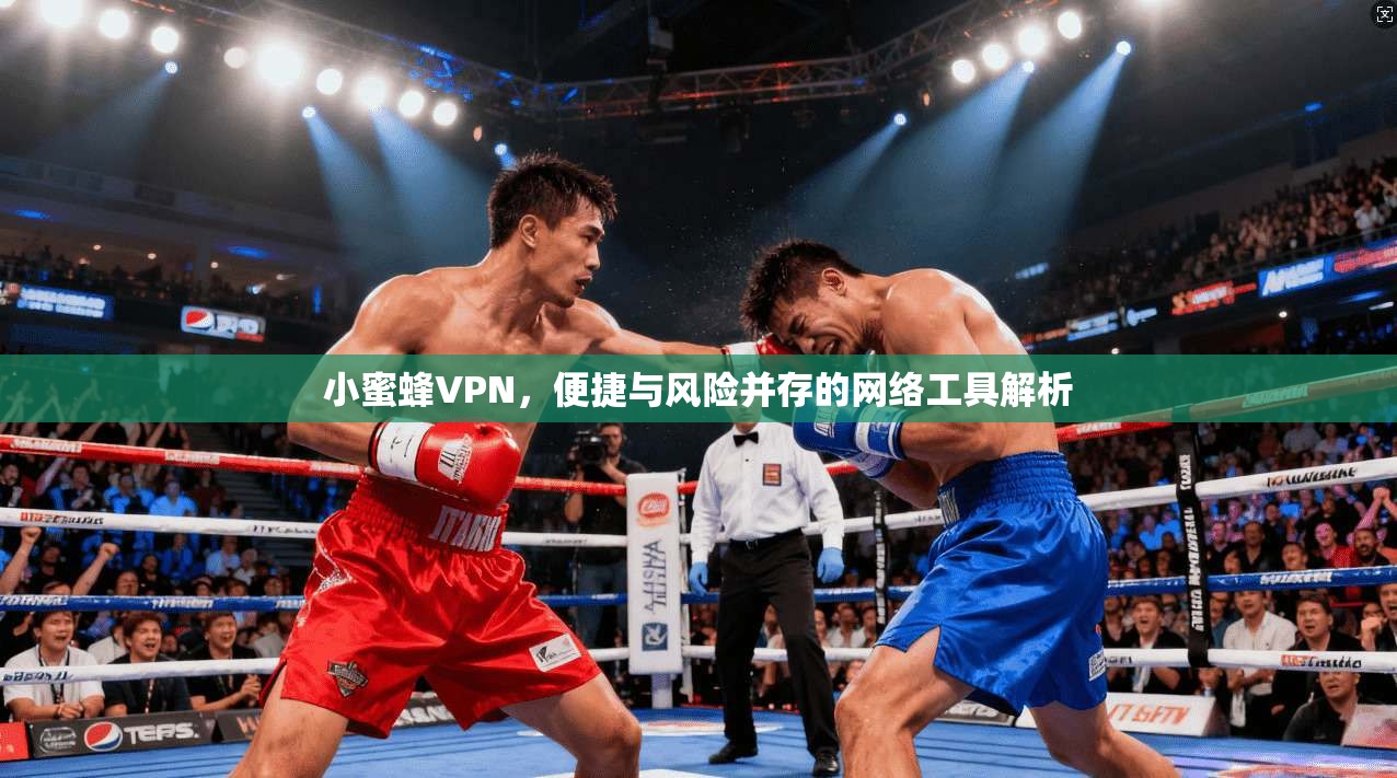 小蜜蜂VPN，便捷与风险并存的网络工具解析
