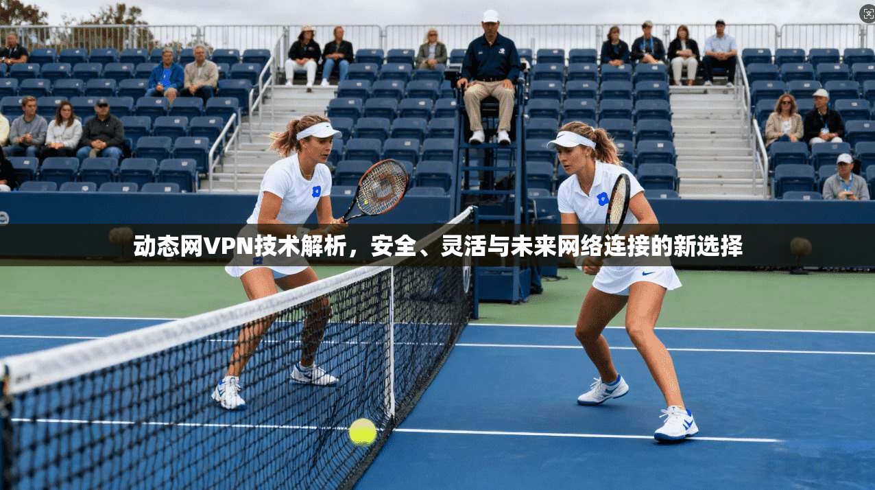 动态网VPN技术解析,安全、灵活与未来网络连接的新选择
