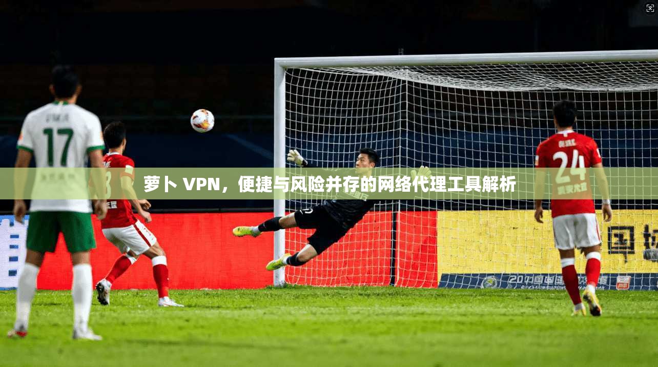 萝卜 VPN，便捷与风险并存的网络代理工具解析
