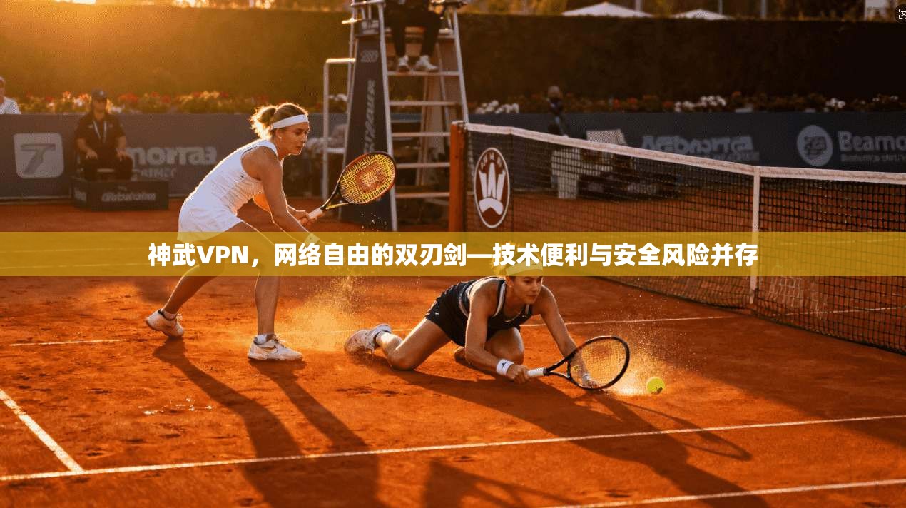 神武VPN，网络自由的双刃剑—技术便利与安全风险并存