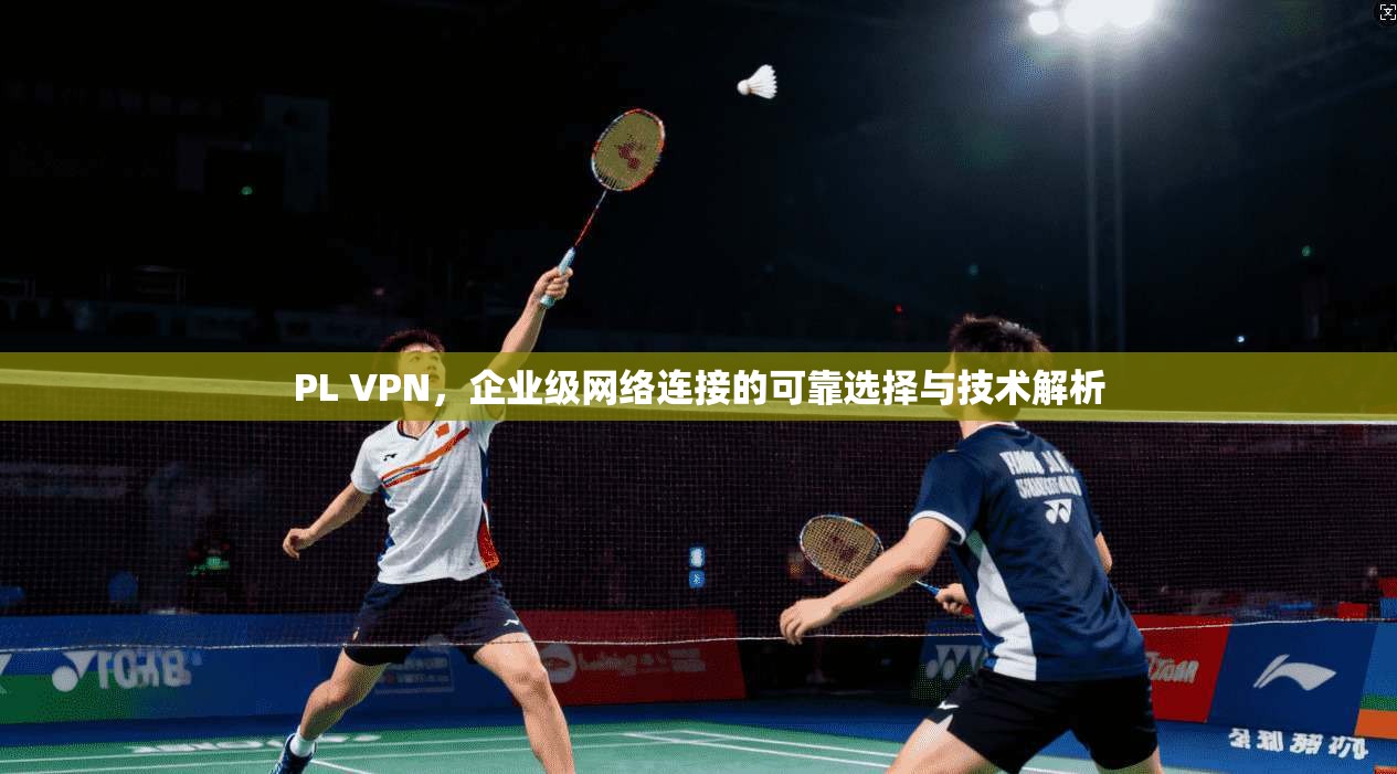 PL VPN，企业级网络连接的可靠选择与技术解析
