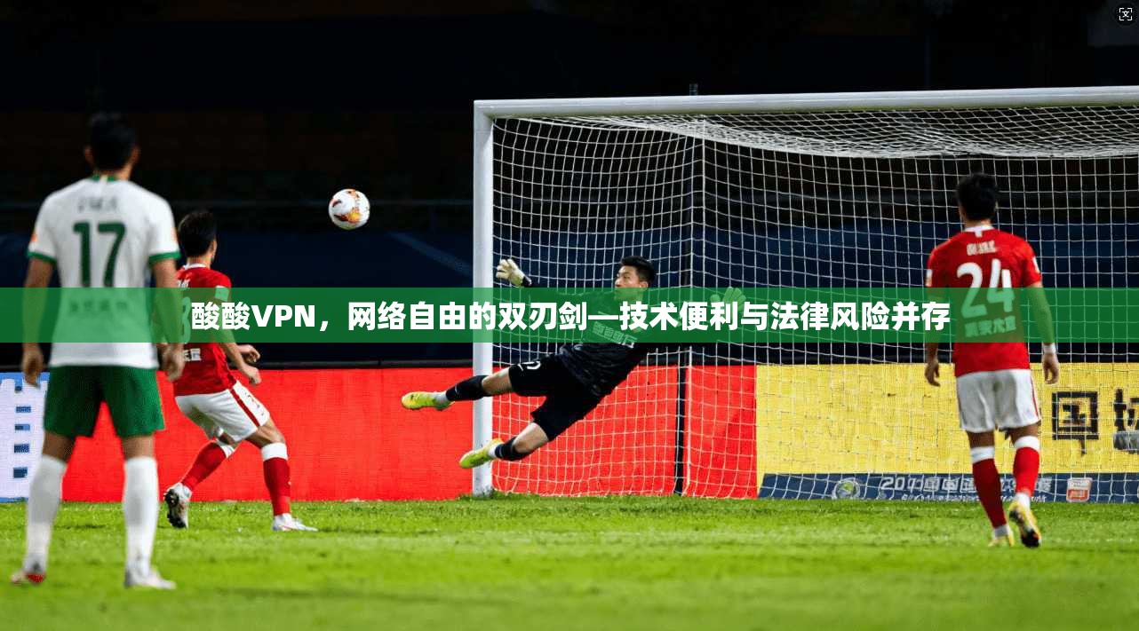 酸酸VPN，网络自由的双刃剑—技术便利与法律风险并存