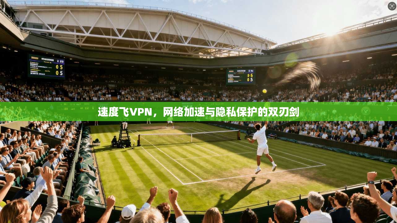 速度飞VPN，网络加速与隐私保护的双刃剑