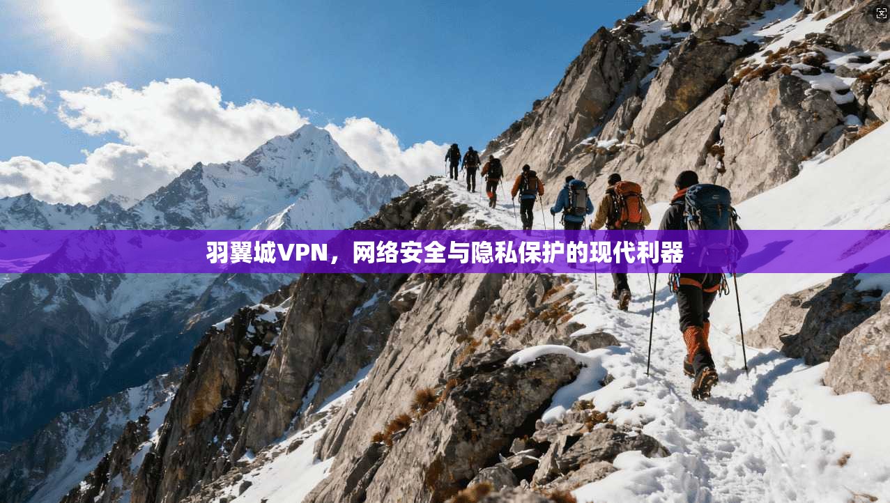 羽翼城VPN，网络安全与隐私保护的现代利器