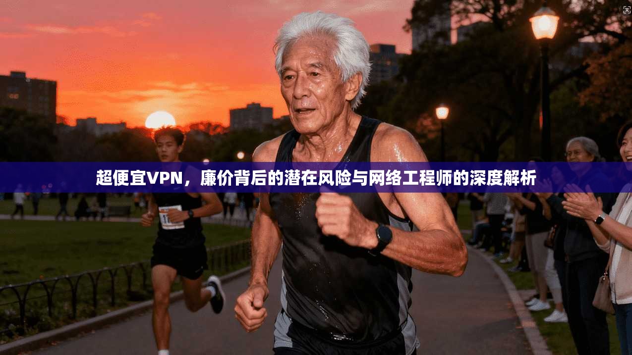 超便宜VPN，廉价背后的潜在风险与网络工程师的深度解析