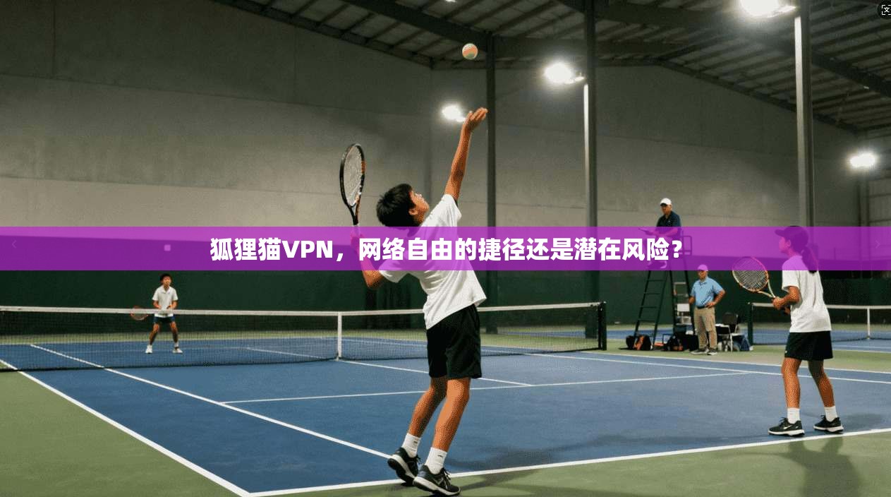 狐狸猫VPN，网络自由的捷径还是潜在风险？
