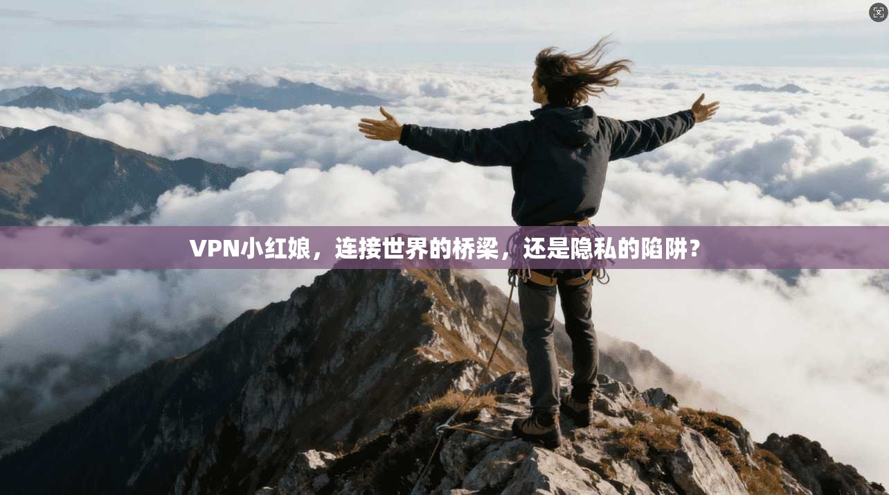VPN小红娘，连接世界的桥梁，还是隐私的陷阱？