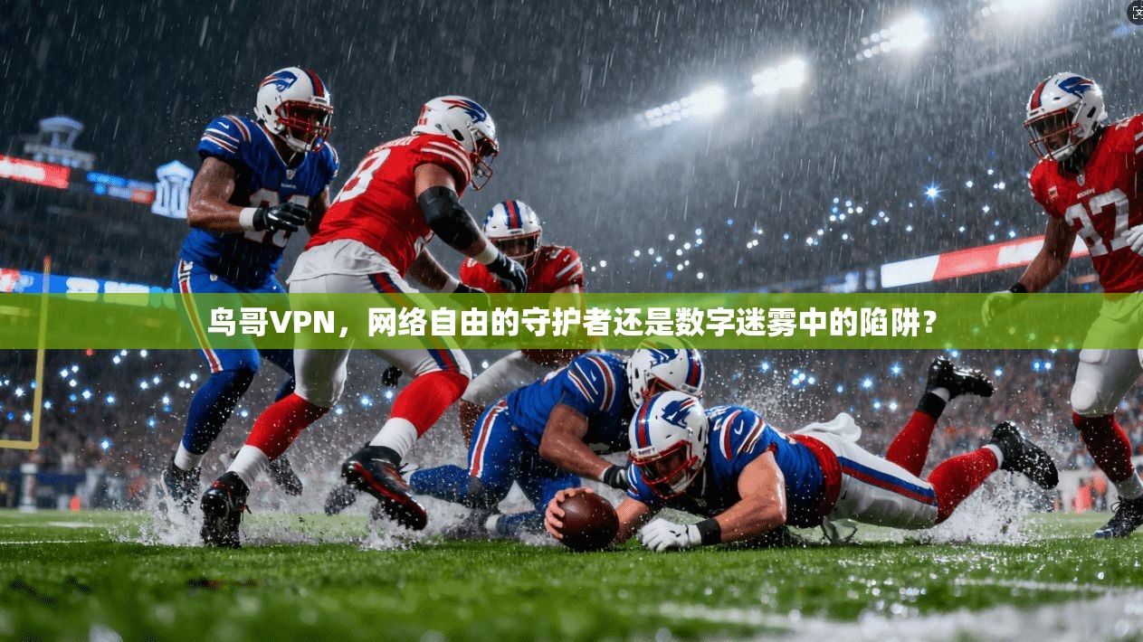 鸟哥VPN，网络自由的守护者还是数字迷雾中的陷阱？