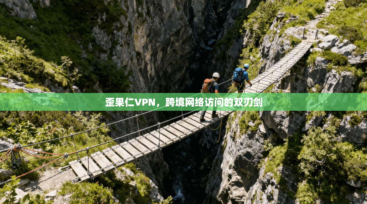 歪果仁VPN，跨境网络访问的双刃剑