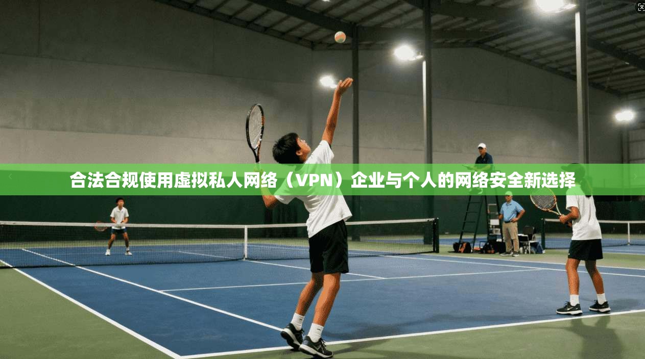 合法合规使用虚拟私人网络（VPN）企业与个人的网络安全新选择