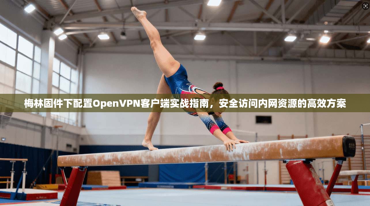 梅林固件下配置OpenVPN客户端实战指南，安全访问内网资源的高效方案