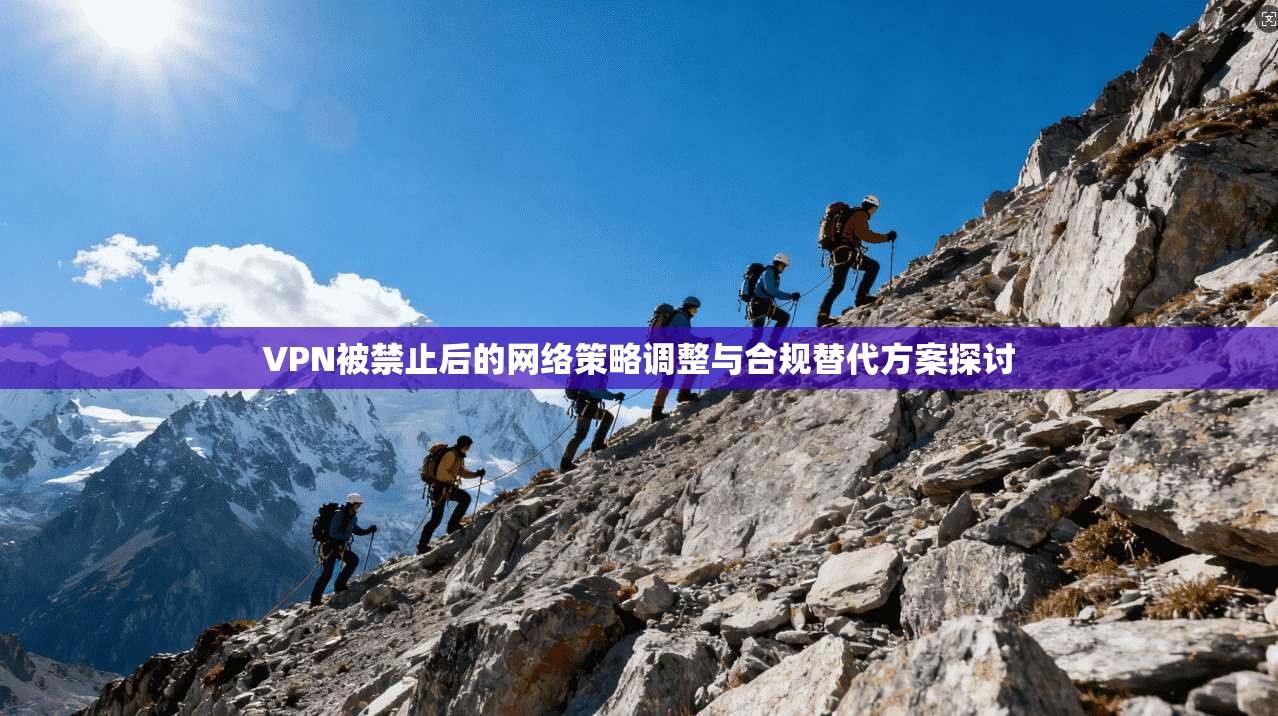 VPN被禁止后的网络策略调整与合规替代方案探讨