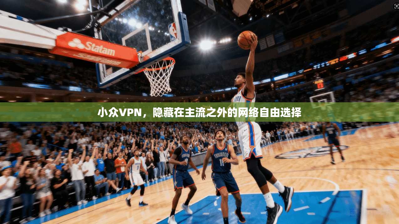 小众VPN，隐藏在主流之外的网络自由选择