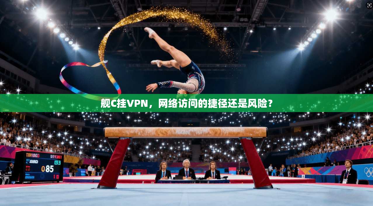 舰C挂VPN，网络访问的捷径还是风险？