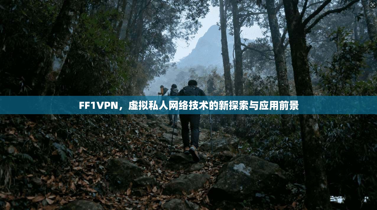 FF1VPN，虚拟私人网络技术的新探索与应用前景