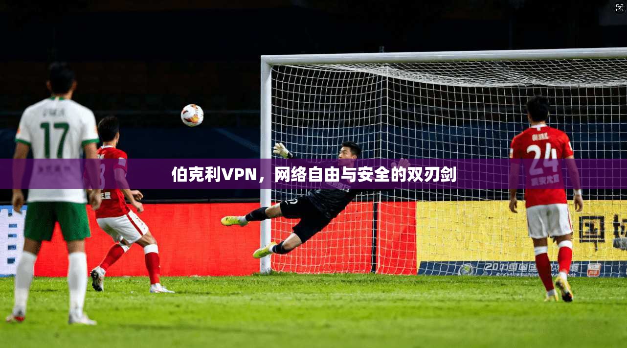 伯克利VPN，网络自由与安全的双刃剑