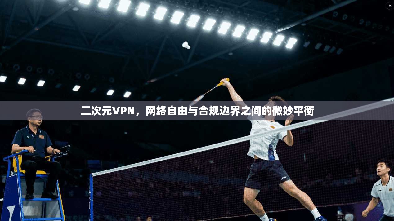 二次元VPN，网络自由与合规边界之间的微妙平衡