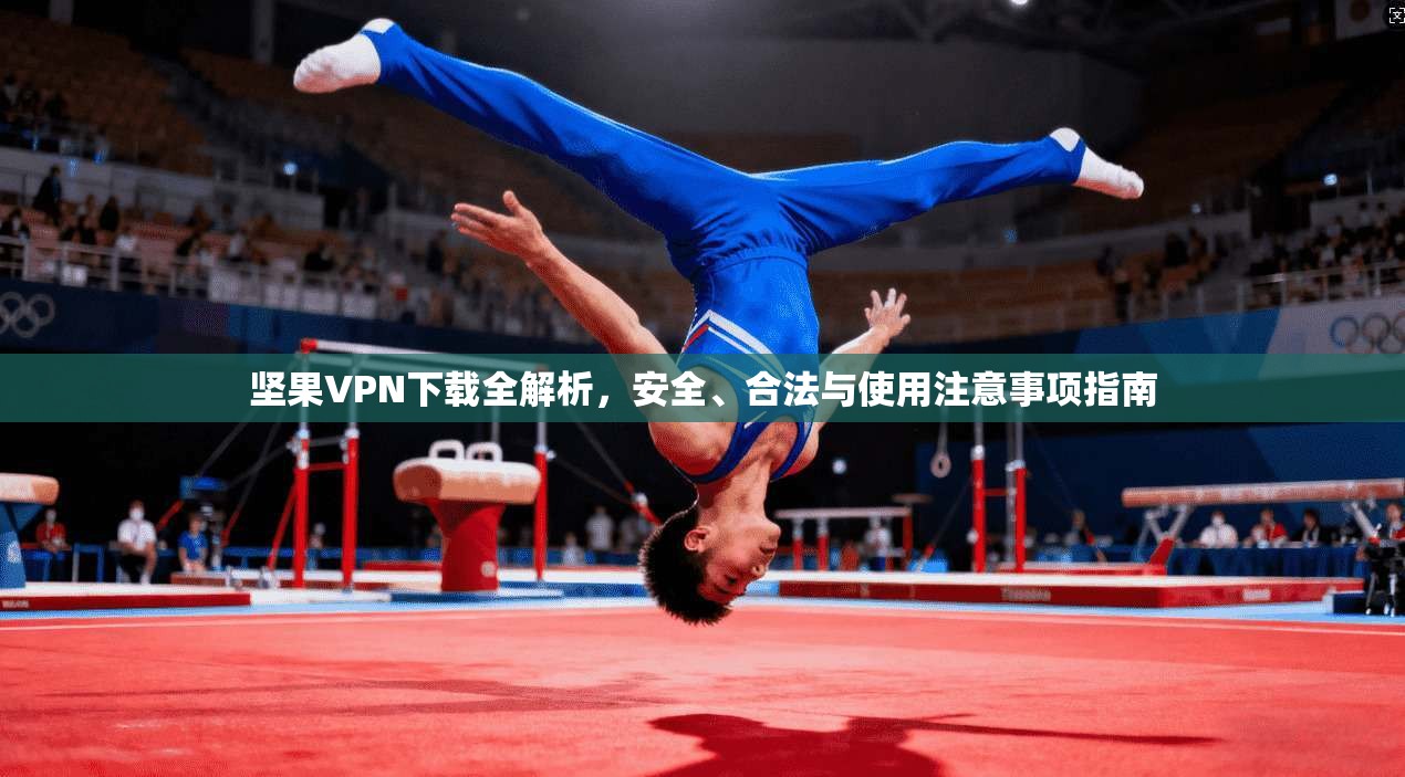 坚果VPN下载全解析，安全、合法与使用注意事项指南