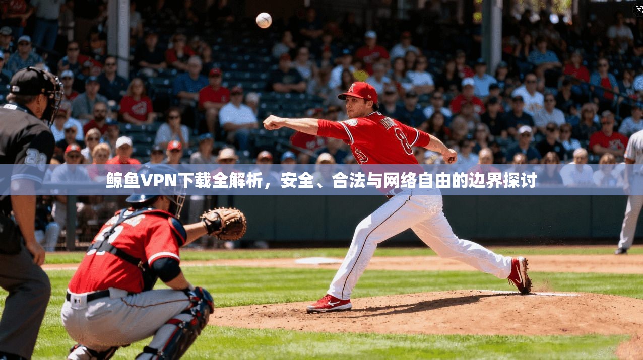 鲸鱼VPN下载全解析，安全、合法与网络自由的边界探讨