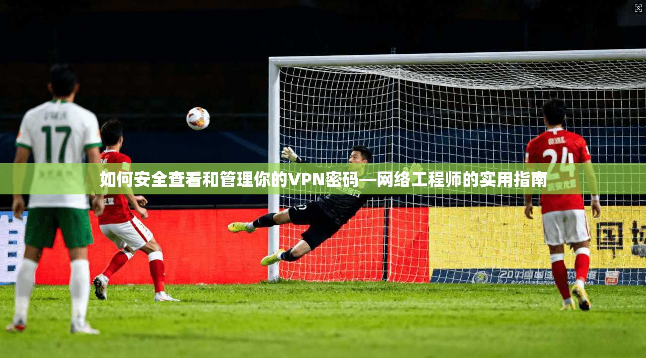 如何安全查看和管理你的VPN密码—网络工程师的实用指南