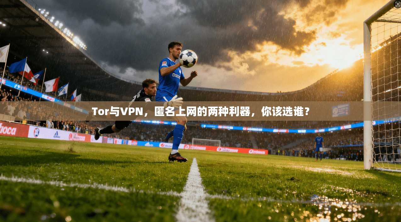Tor与VPN，匿名上网的两种利器，你该选谁？