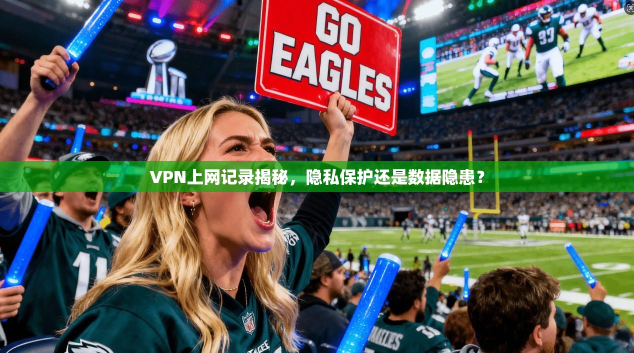 VPN上网记录揭秘，隐私保护还是数据隐患？
