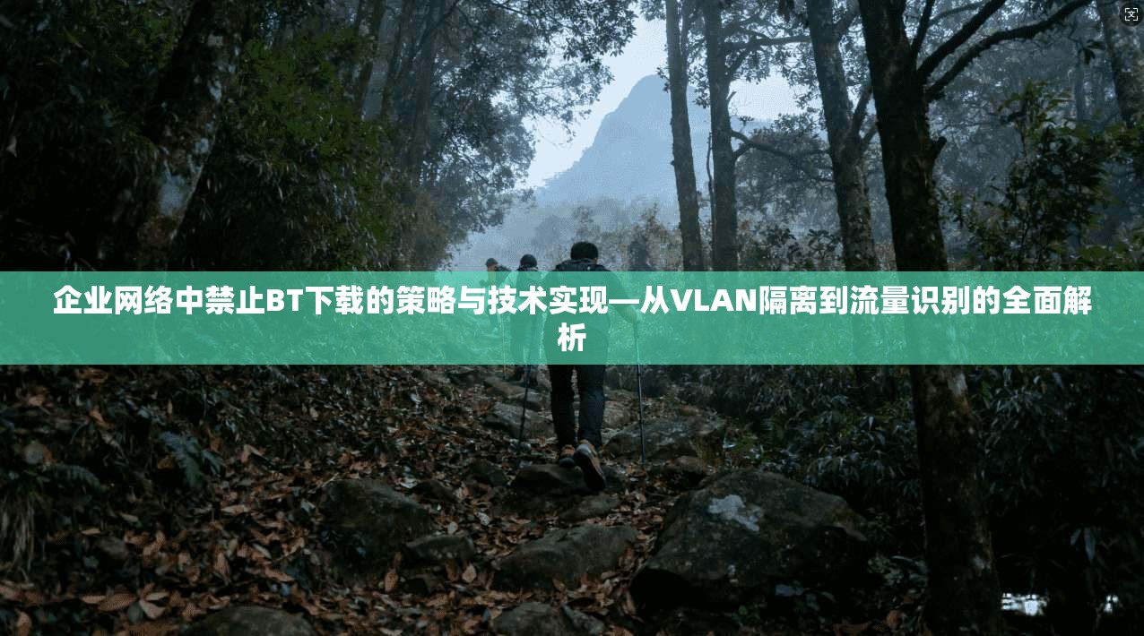 企业网络中禁止BT下载的策略与技术实现—从VLAN隔离到流量识别的全面解析