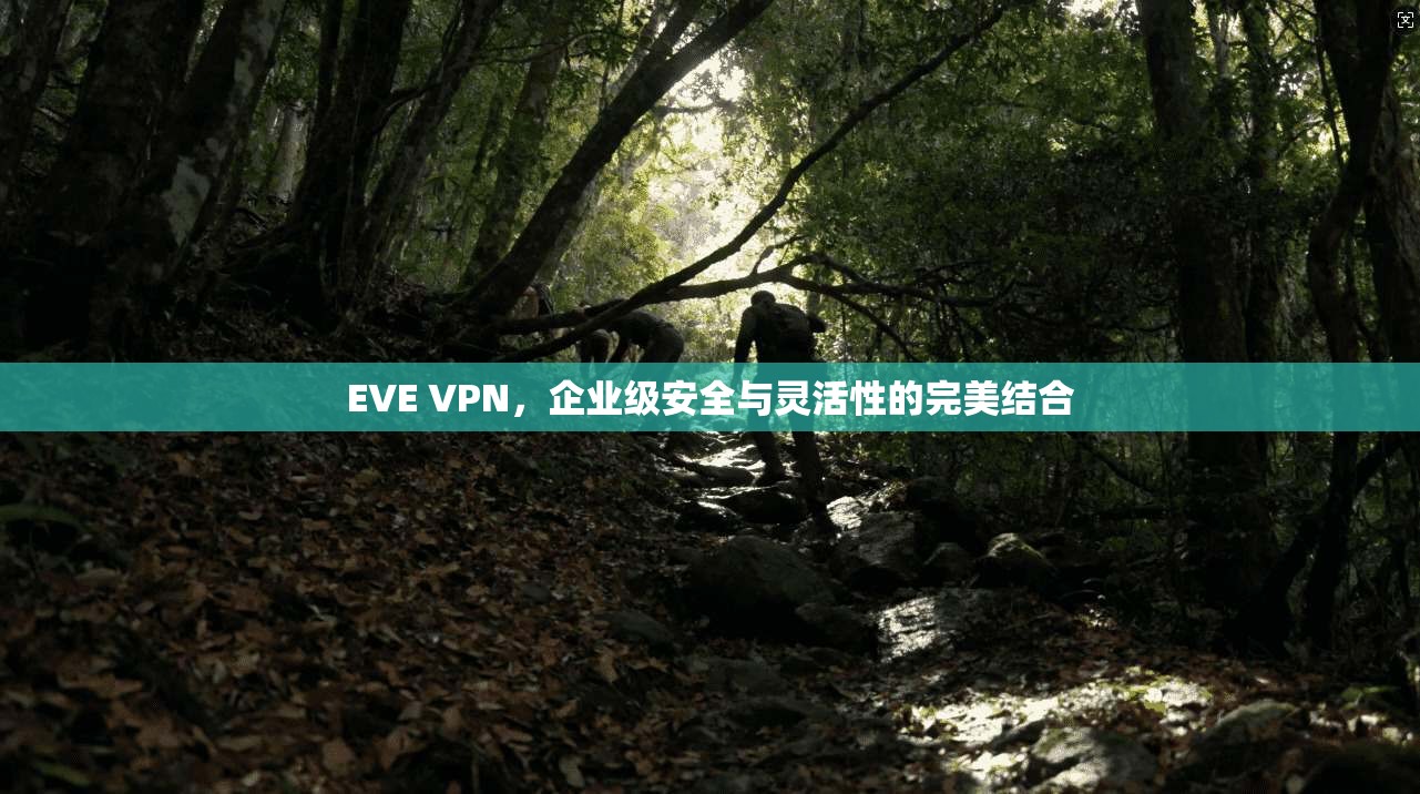 EVE VPN，企业级安全与灵活性的完美结合
