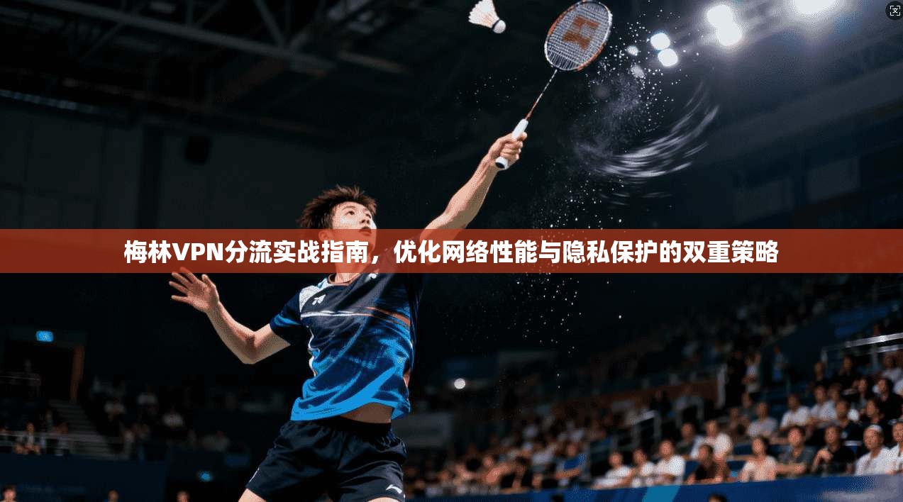 梅林VPN分流实战指南，优化网络性能与隐私保护的双重策略