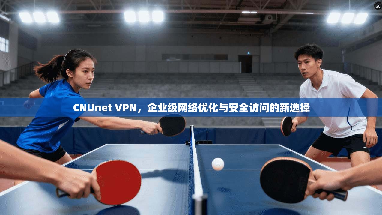 CNUnet VPN，企业级网络优化与安全访问的新选择