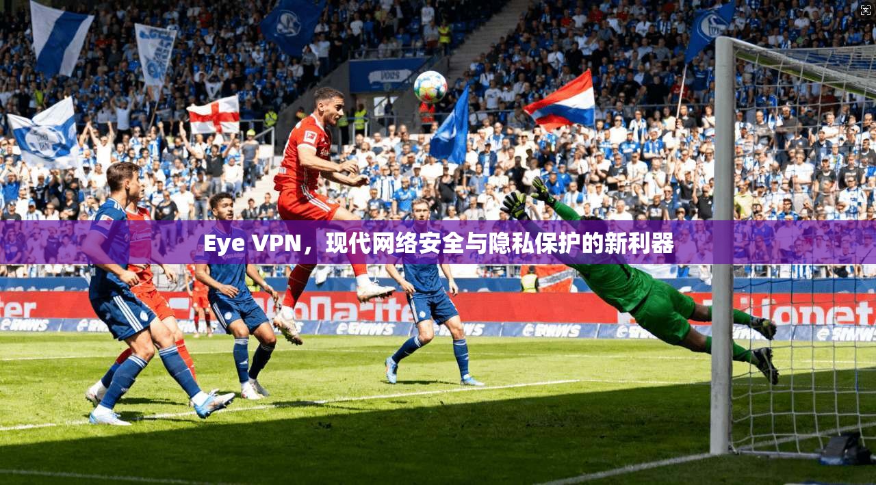 Eye VPN，现代网络安全与隐私保护的新利器