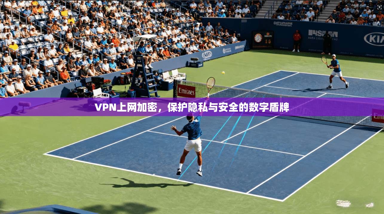 VPN上网加密，保护隐私与安全的数字盾牌