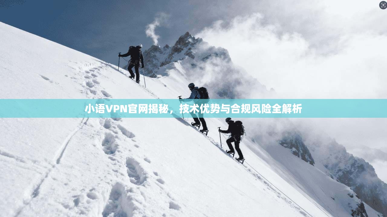 小语VPN官网揭秘，技术优势与合规风险全解析