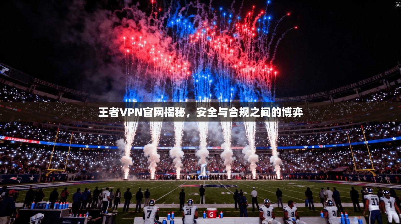 王者VPN官网揭秘，安全与合规之间的博弈