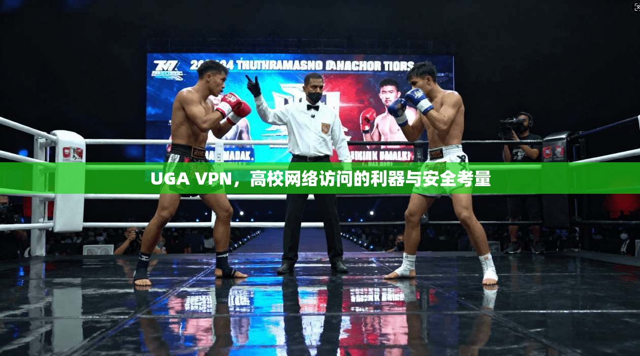 UGA VPN，高校网络访问的利器与安全考量