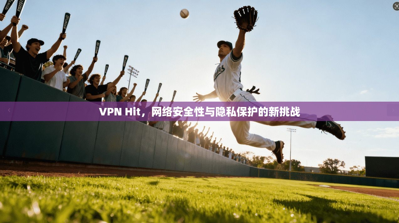 VPN Hit，网络安全性与隐私保护的新挑战