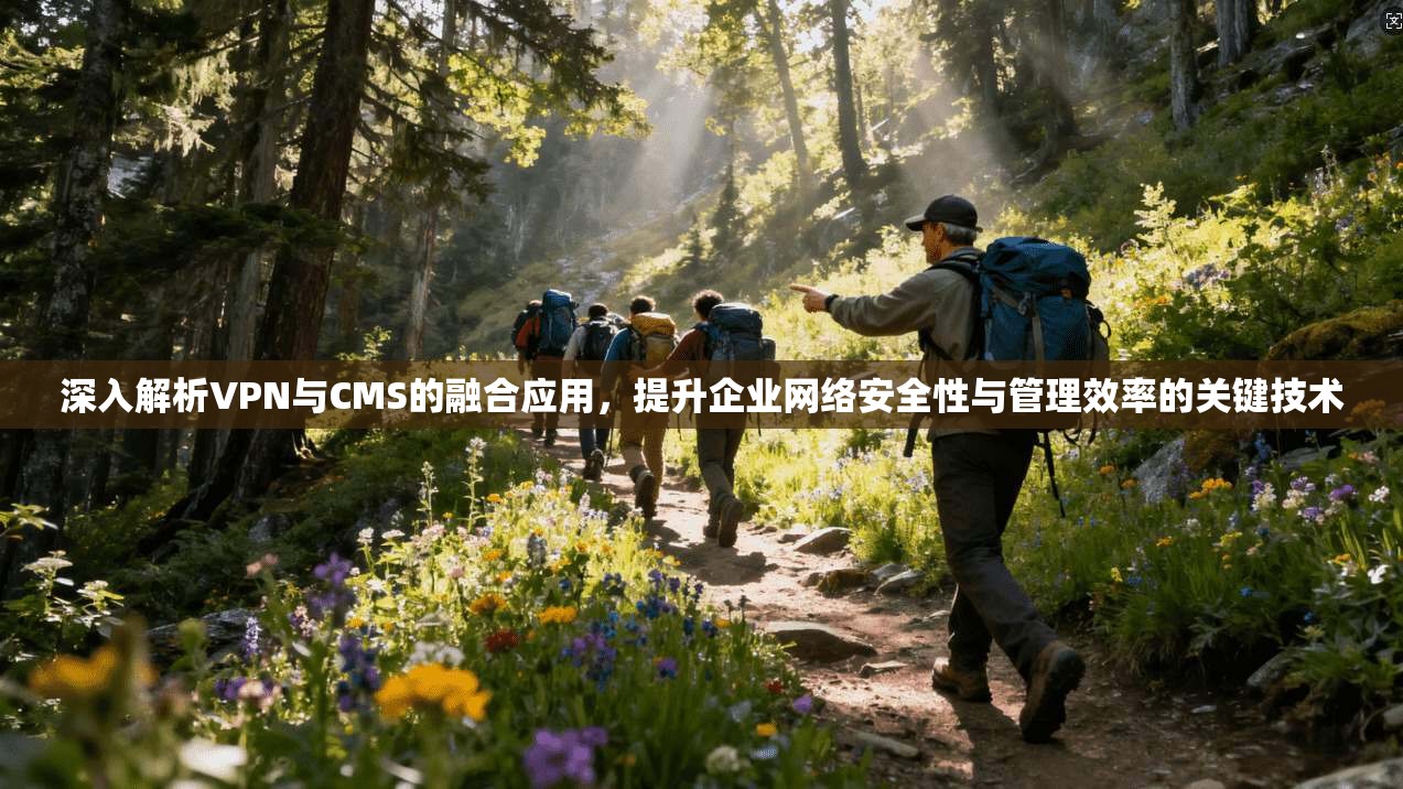 深入解析VPN与CMS的融合应用，提升企业网络安全性与管理效率的关键技术